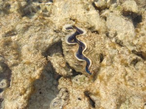 ???????????????????????????????